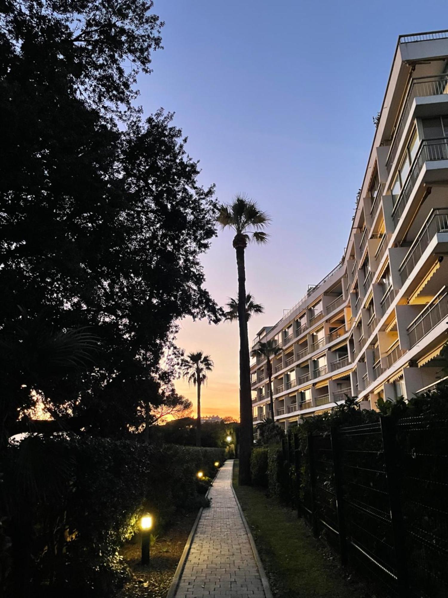 C037-Nice Studio With Garden And Parking - Near Beach Cannes Ngoại thất bức ảnh
